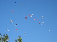 Nuée de parapentes 08